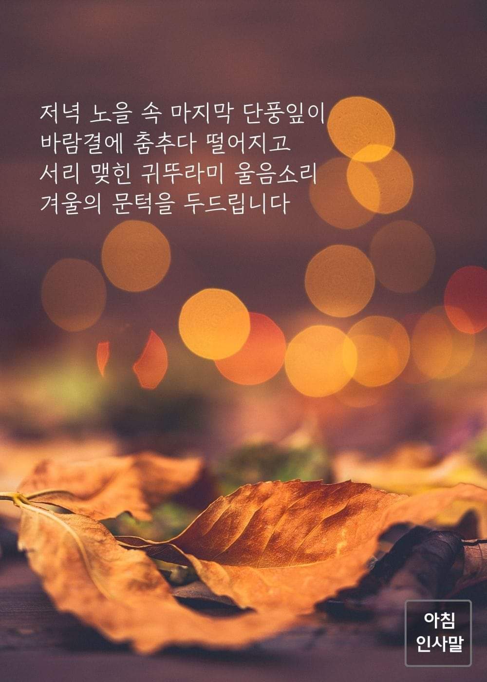 대표이미지