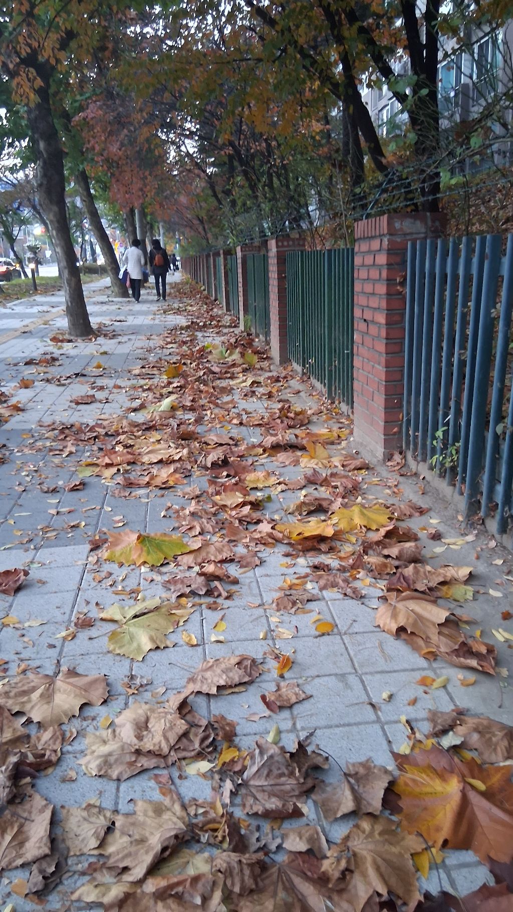 게시글 대표 이미지