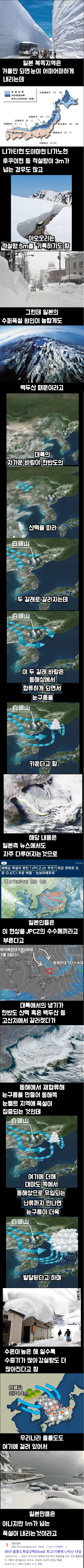 게시글 대표 이미지