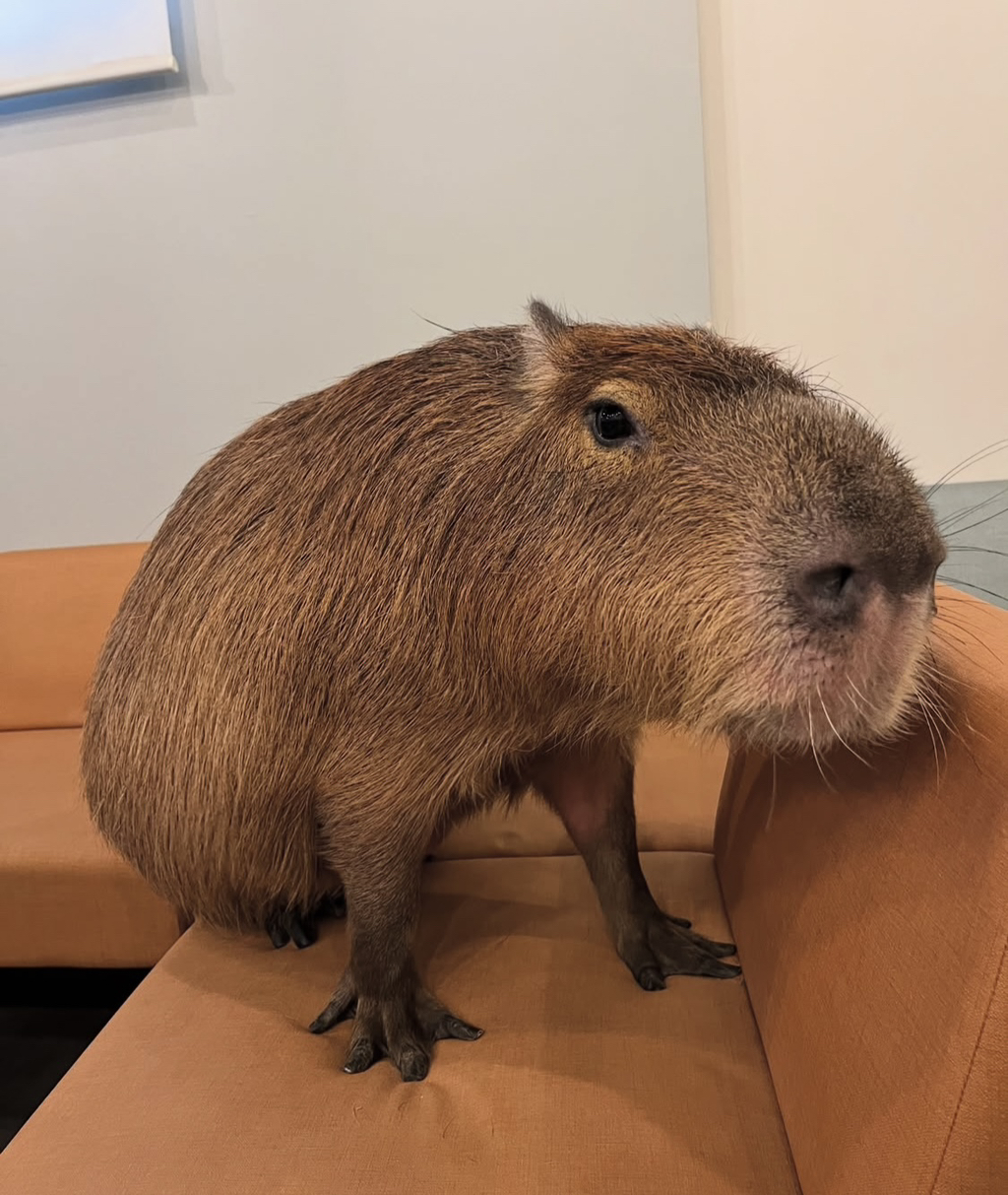 게시글 대표 이미지