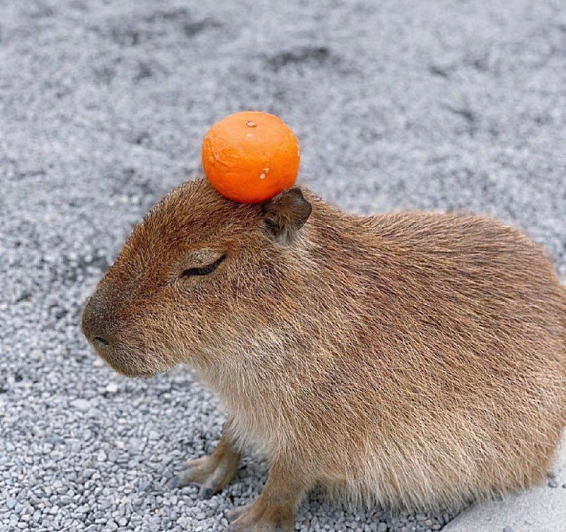 게시글 대표 이미지