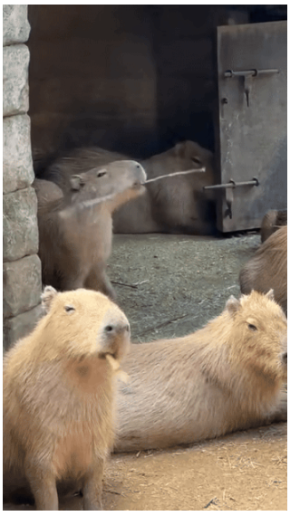 게시글 대표 이미지