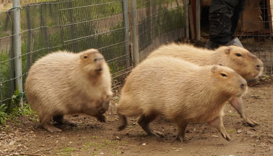 게시글 대표 이미지