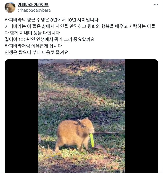 게시글 대표 이미지