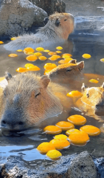 게시글 대표 이미지