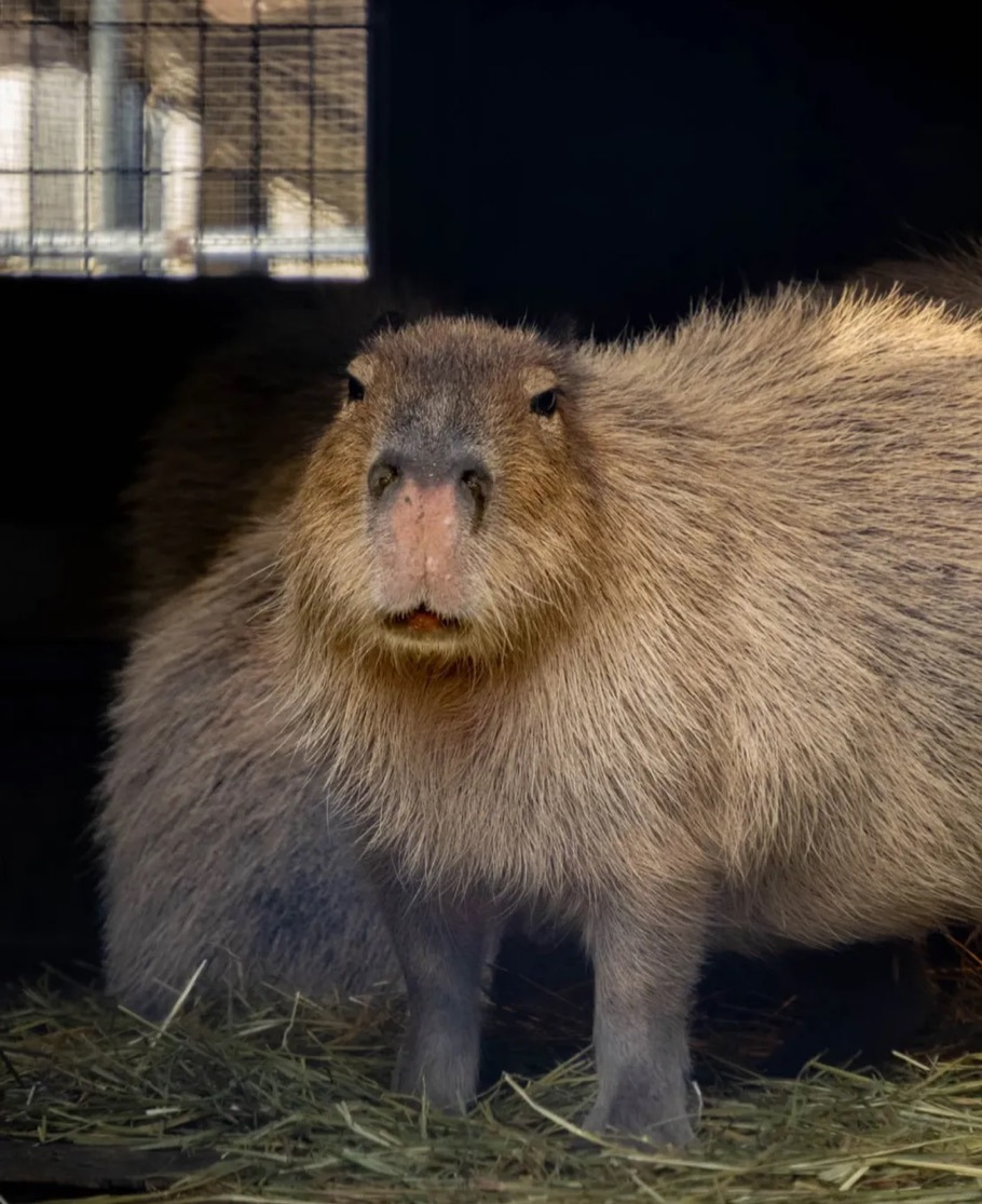 게시글 대표 이미지