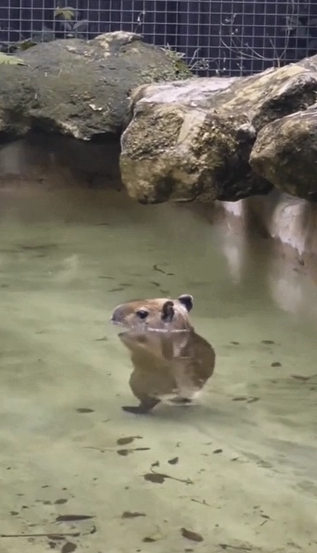 게시글 대표 이미지