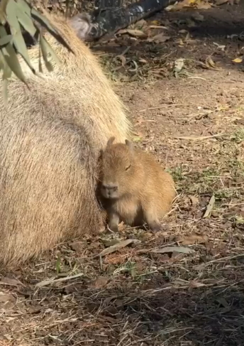 게시글 대표 이미지