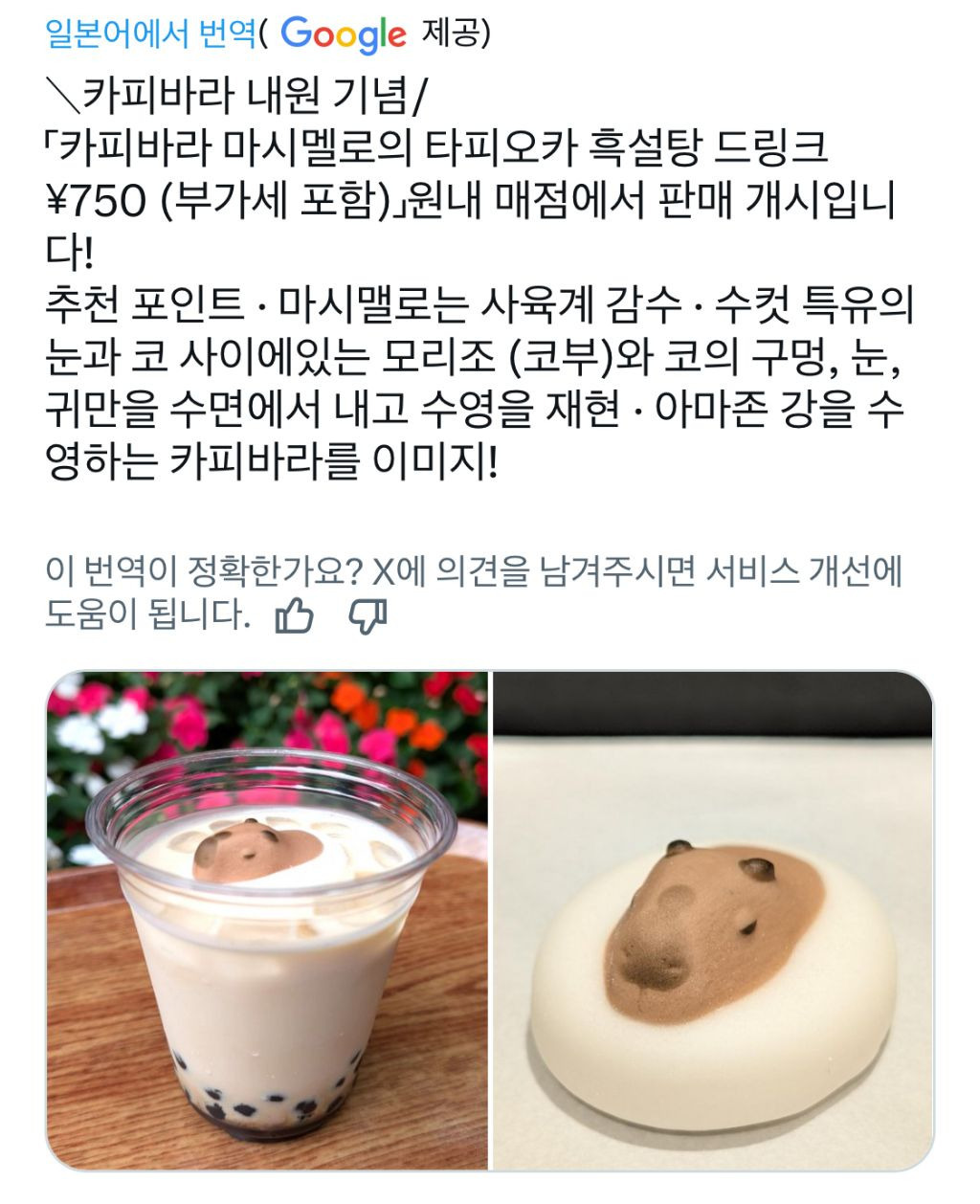 게시글 대표 이미지
