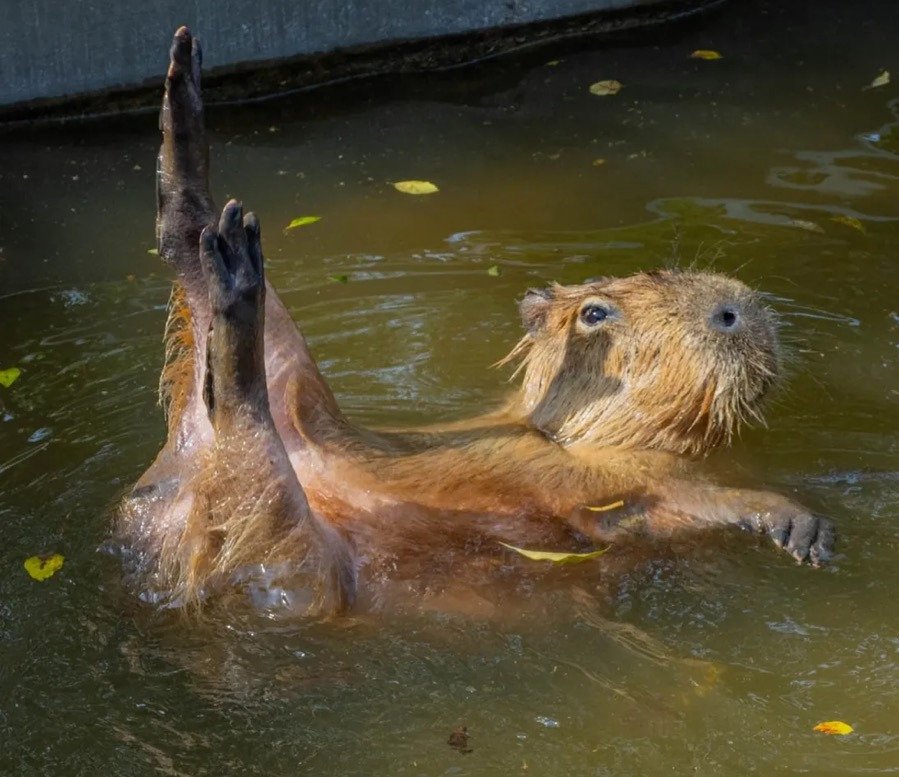 게시글 대표 이미지
