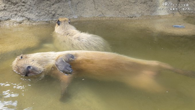 게시글 대표 이미지