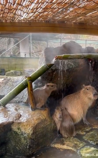 게시글 대표 이미지