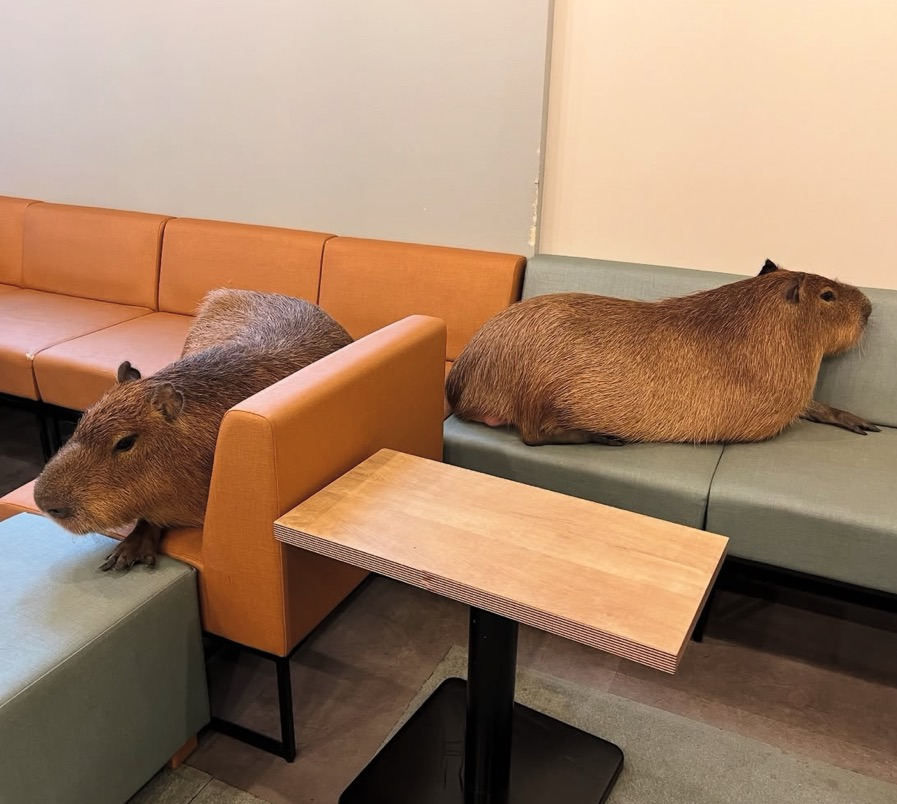 게시글 대표 이미지