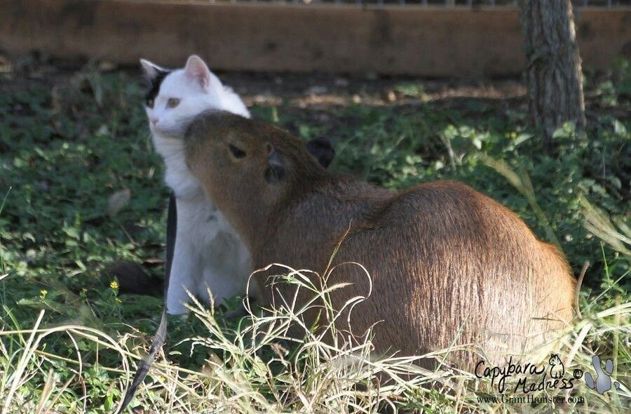 게시글 대표 이미지