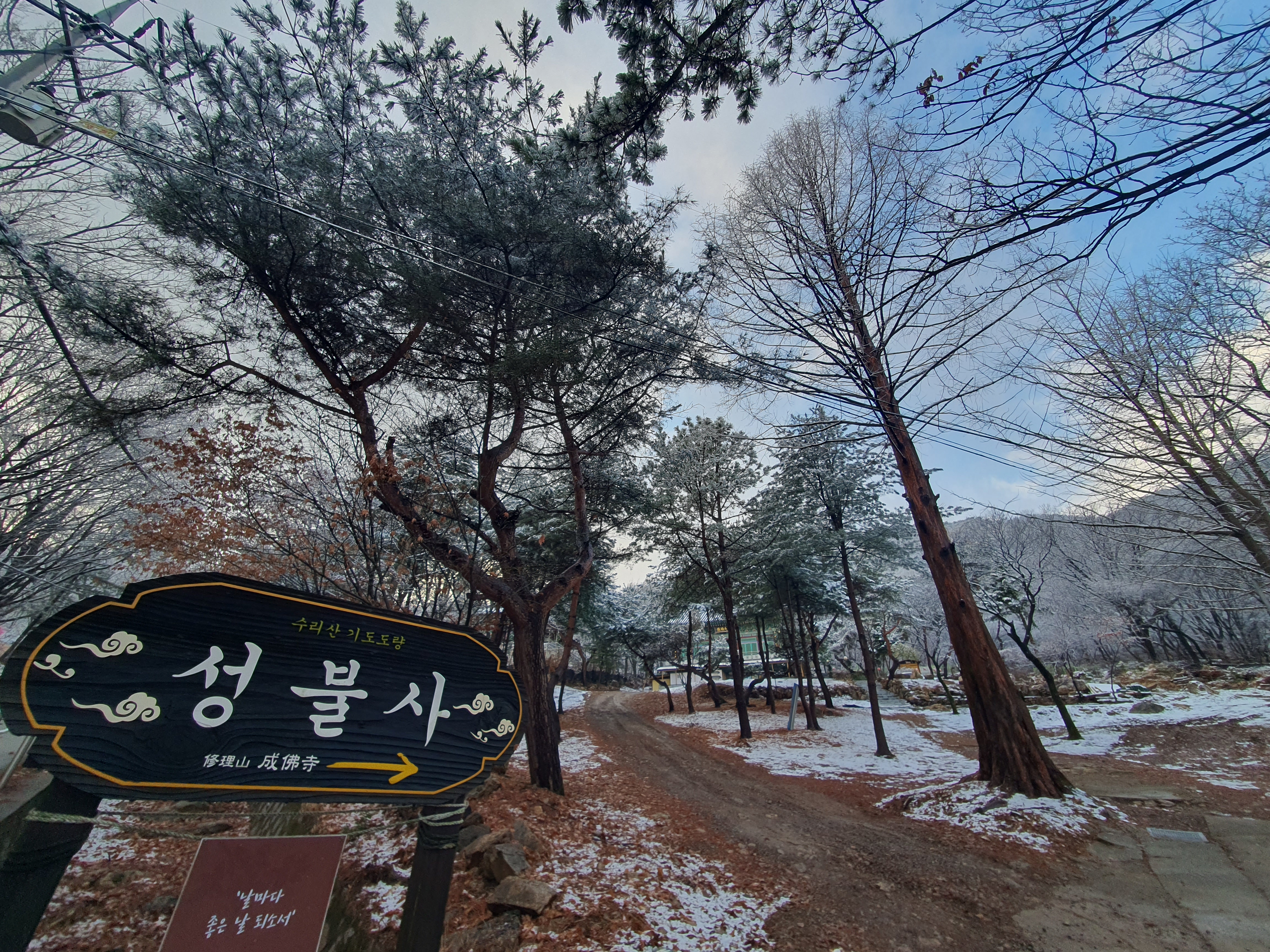 게시글 대표 이미지