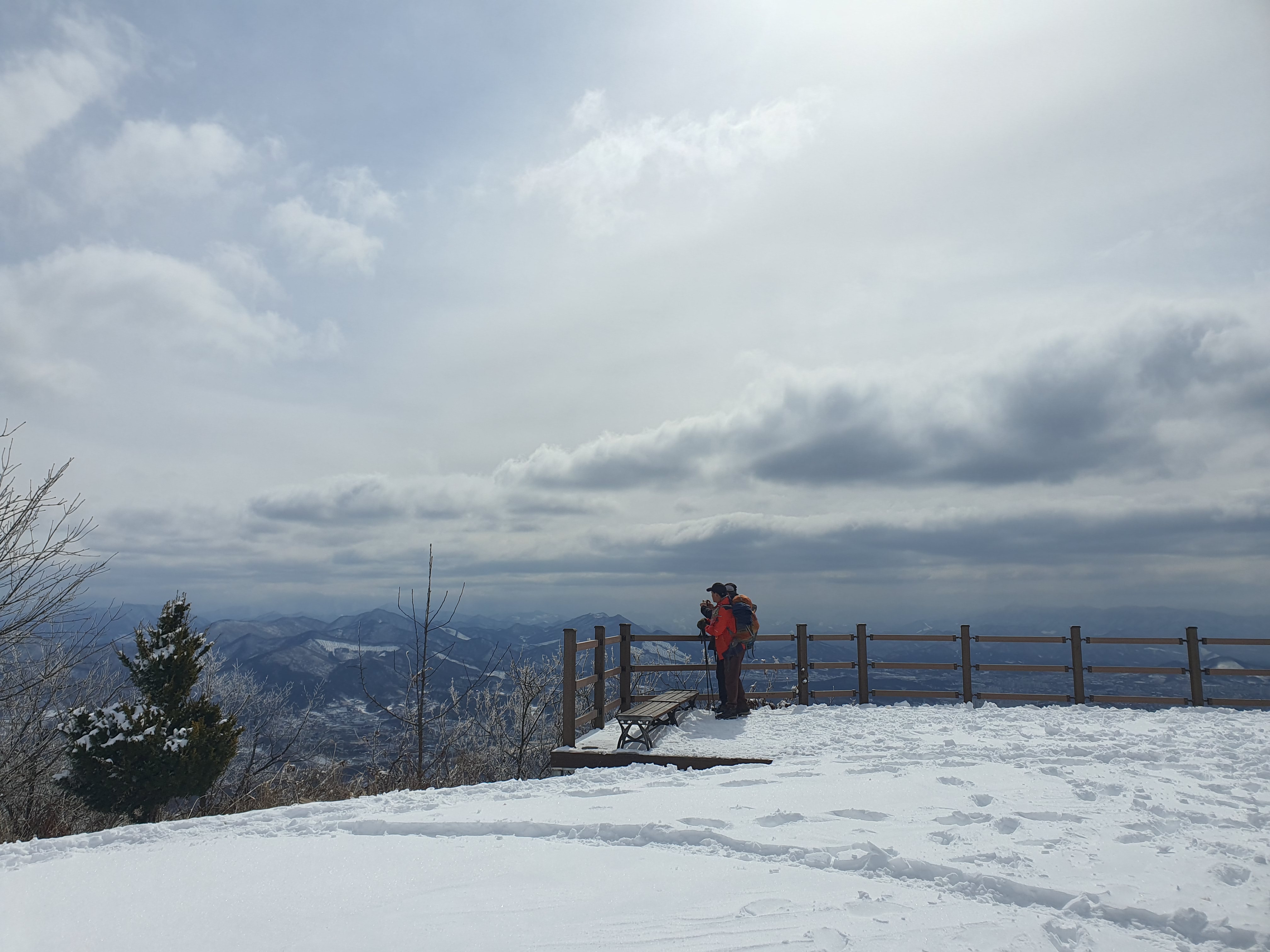 게시글 대표 이미지