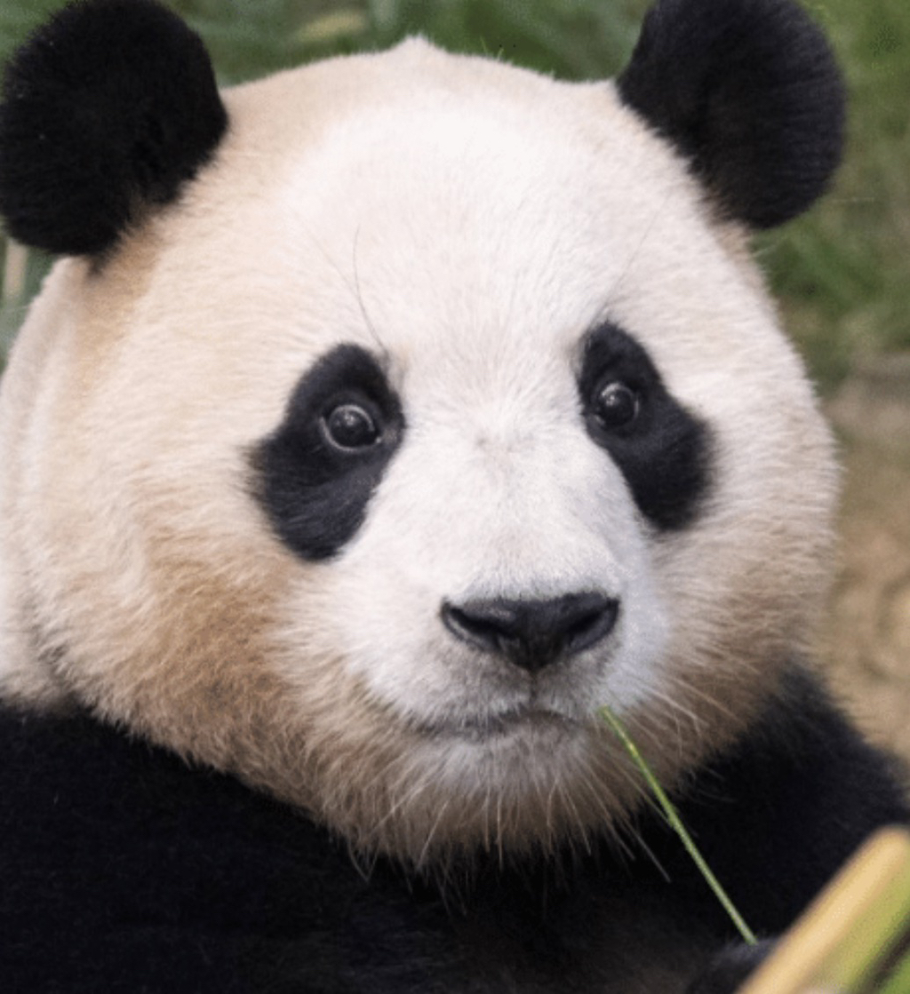 게시글 대표 이미지