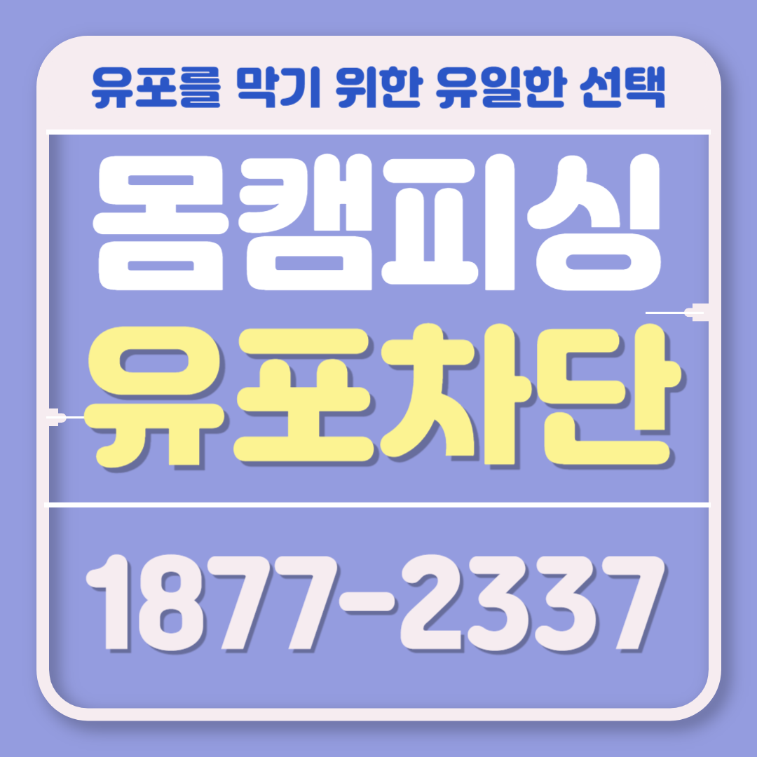 대표이미지