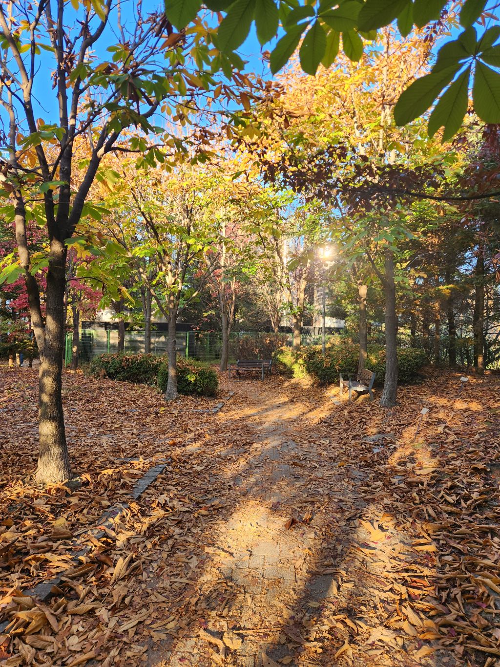 게시글 대표 이미지