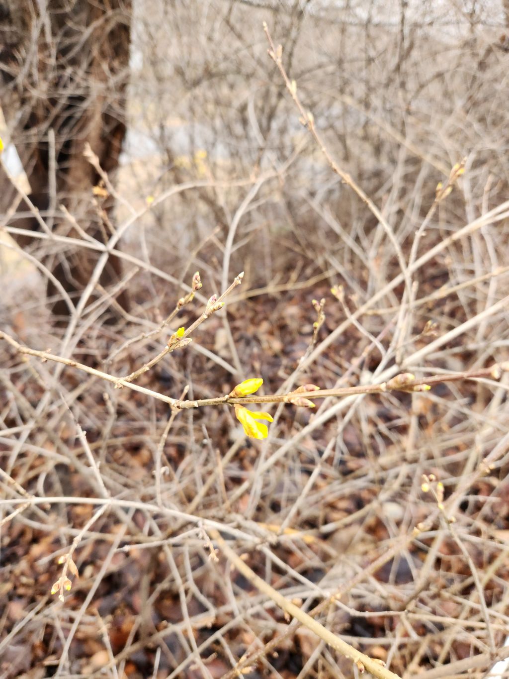 게시글 대표 이미지