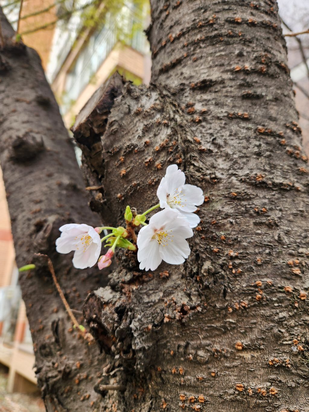게시글 대표 이미지