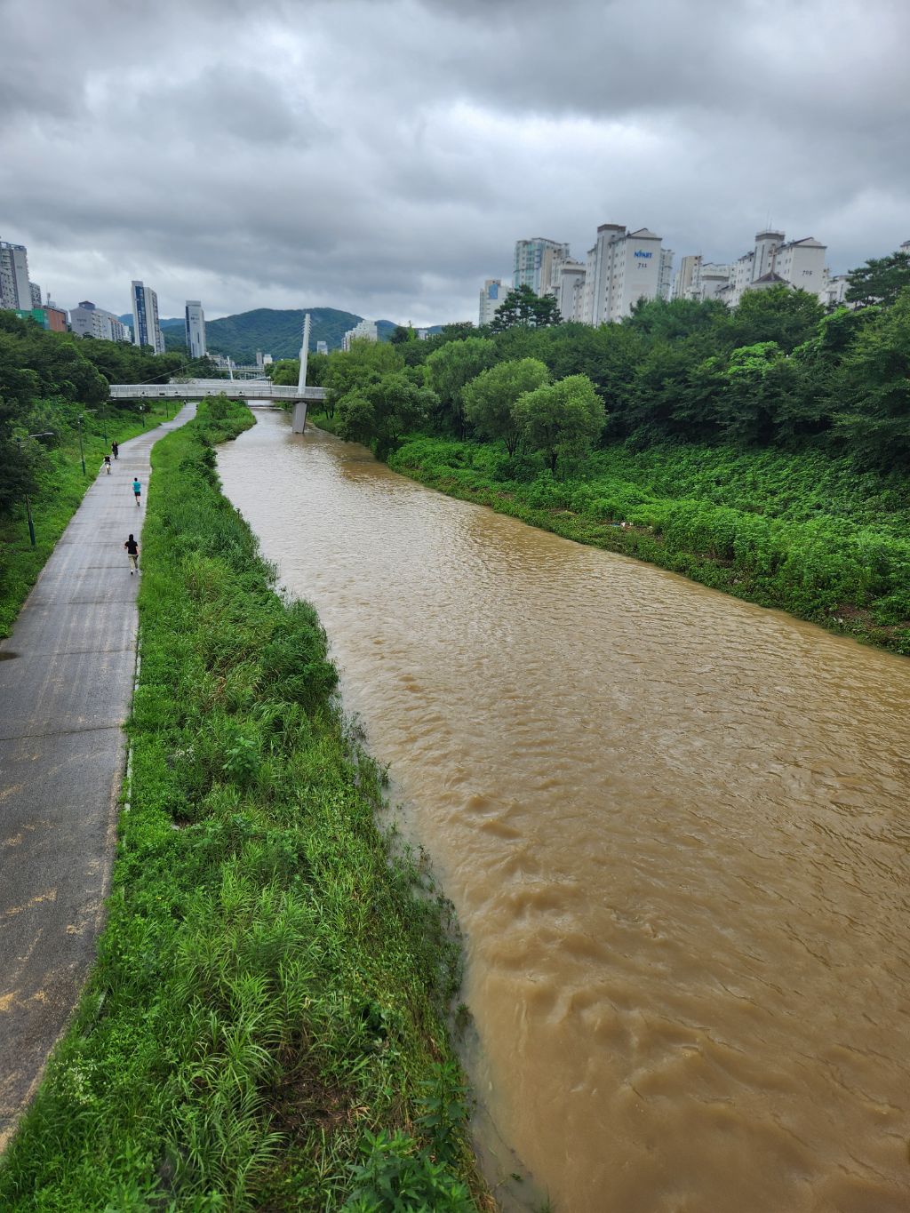 게시글 대표 이미지