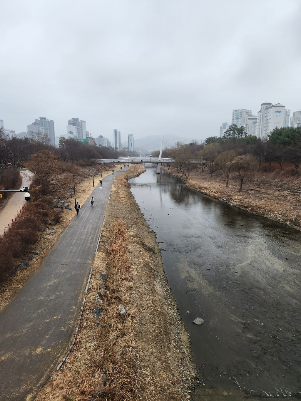 게시글 대표 이미지
