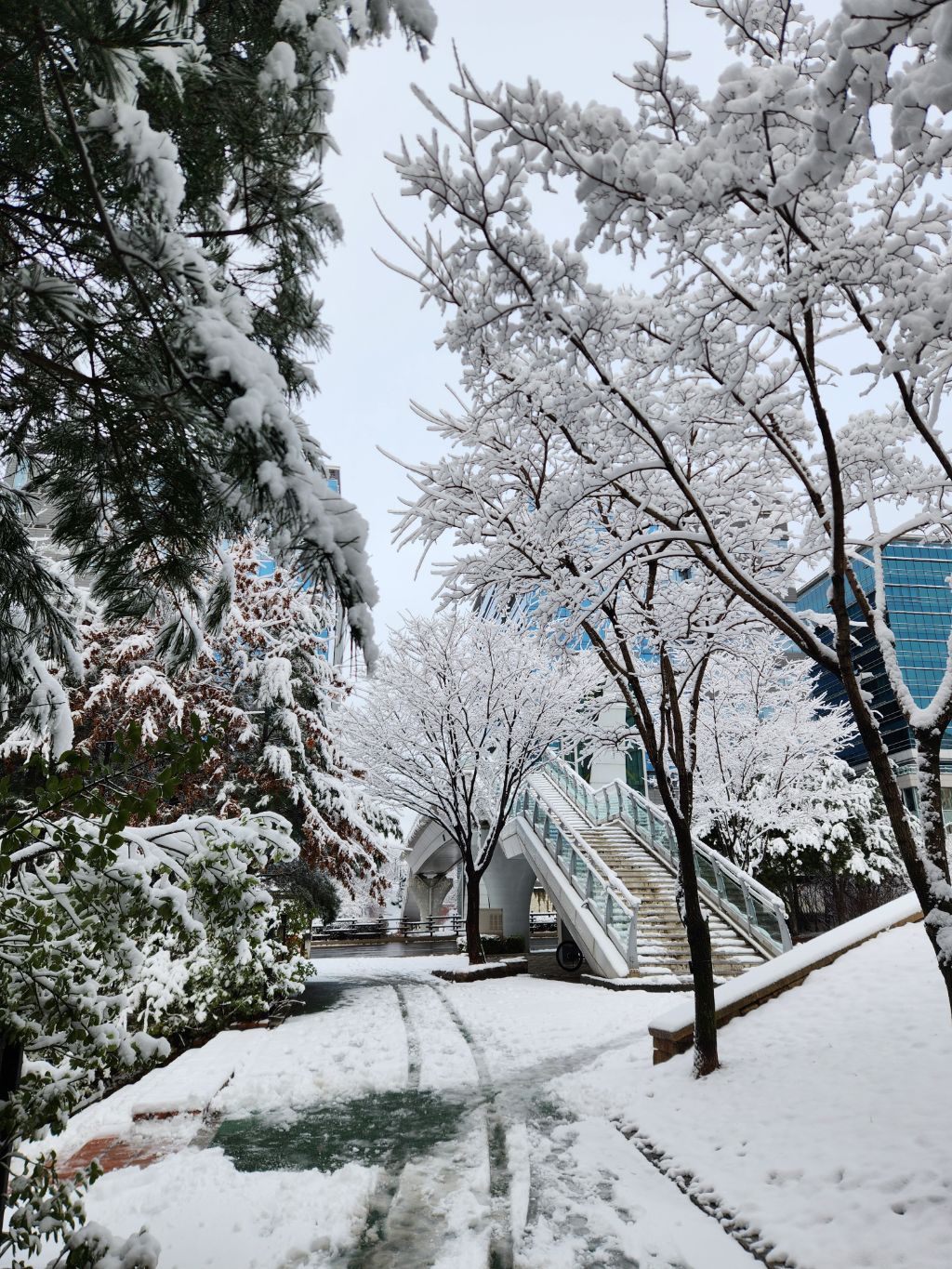 게시글 대표 이미지