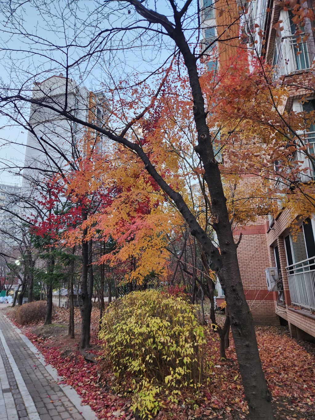 게시글 대표 이미지