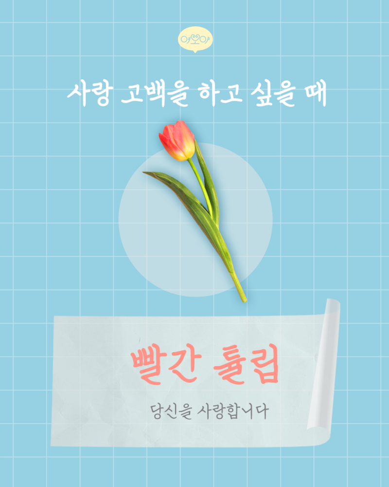 게시글 대표 이미지