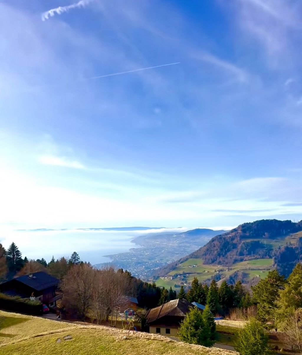 게시글 대표 이미지