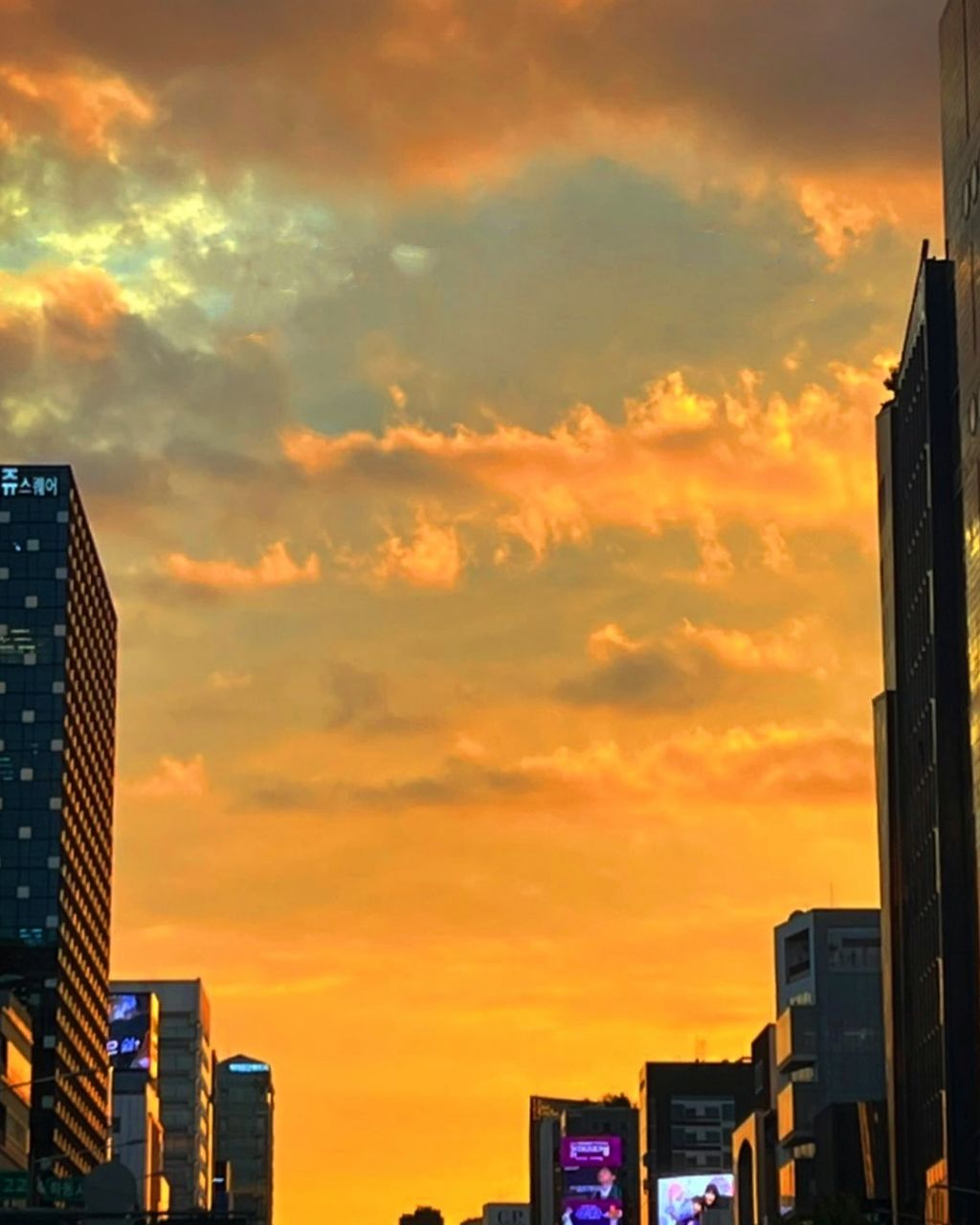 게시글 대표 이미지