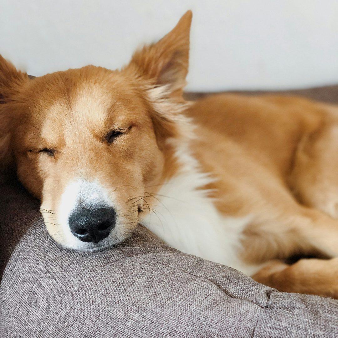 게시글 대표 이미지