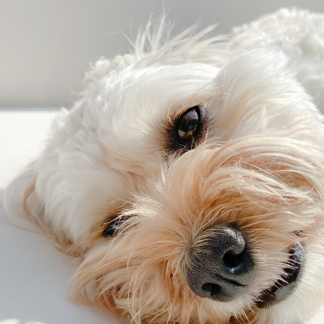 게시글 대표 이미지