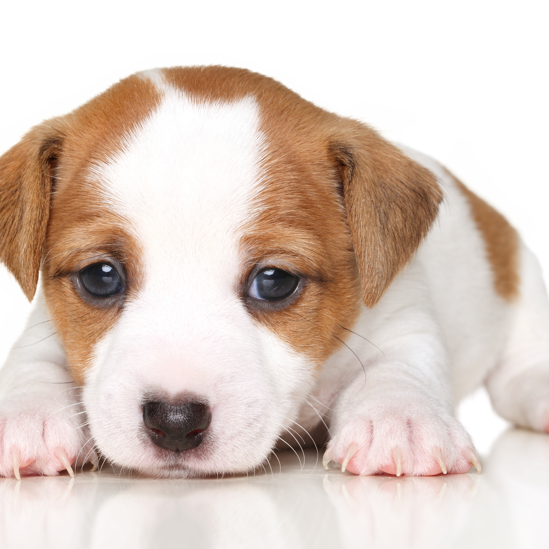 게시글 대표 이미지