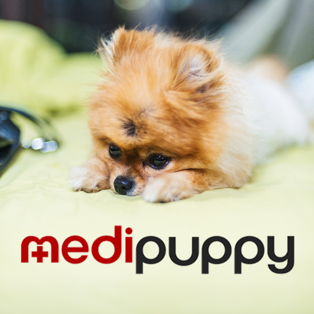 게시글 대표 이미지