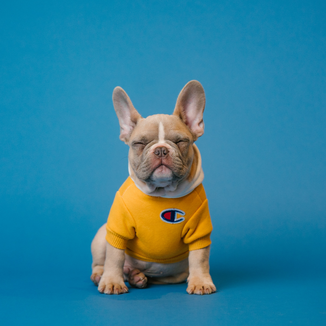 게시글 대표 이미지