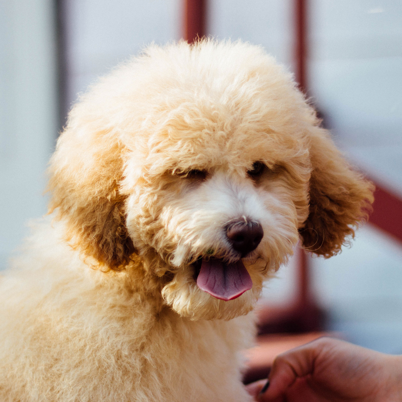 게시글 대표 이미지