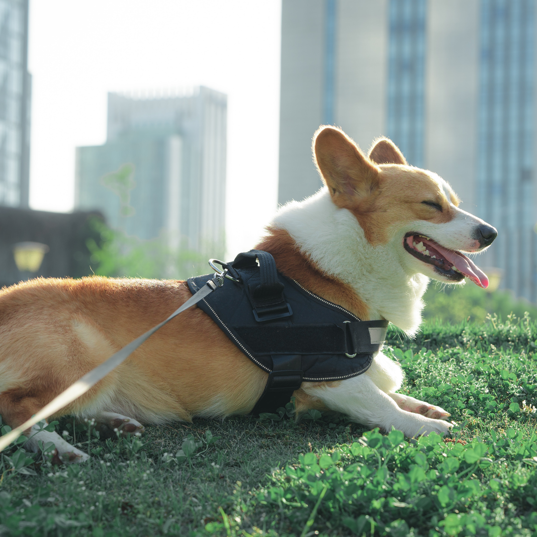 게시글 대표 이미지