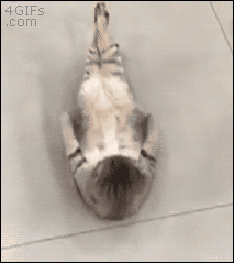 게시글 대표 이미지