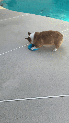 게시글 대표 이미지