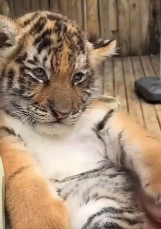 게시글 대표 이미지