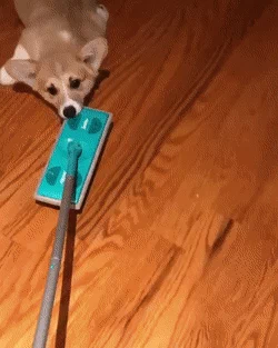 게시글 대표 이미지