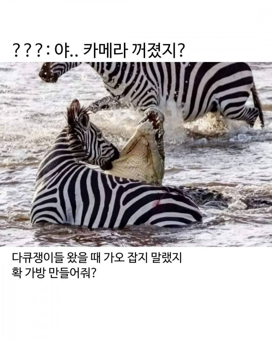 게시글 대표 이미지
