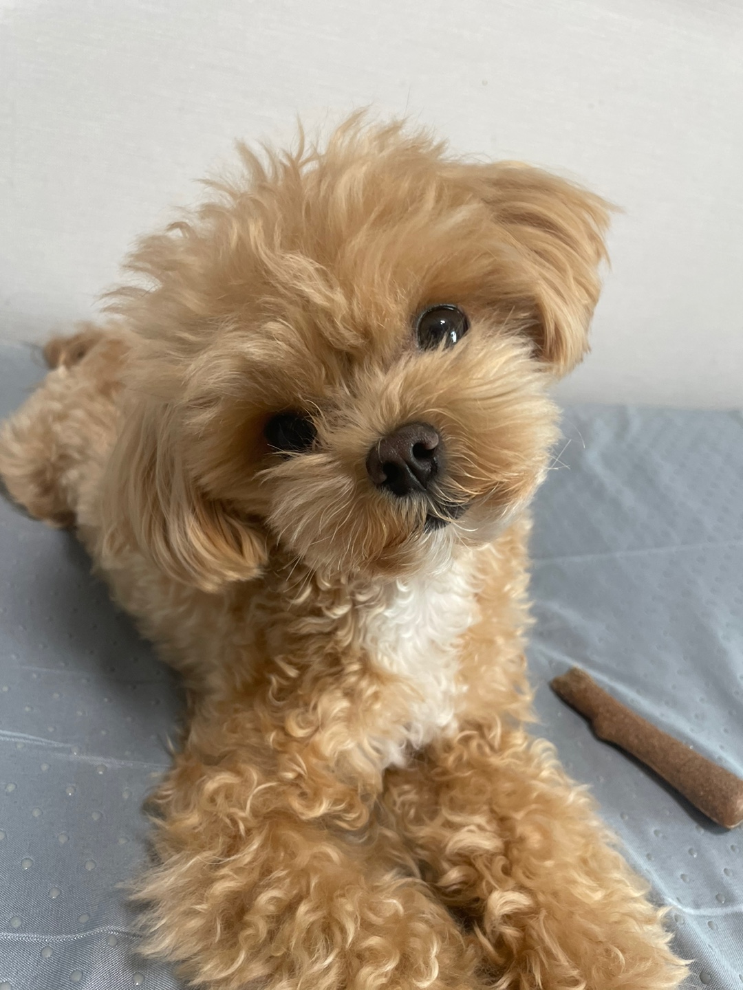 게시글 대표 이미지