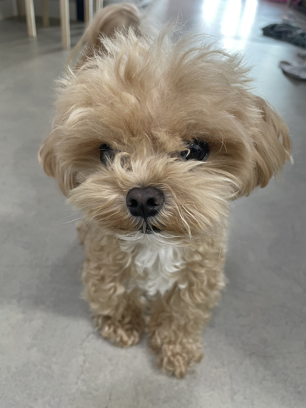 게시글 대표 이미지