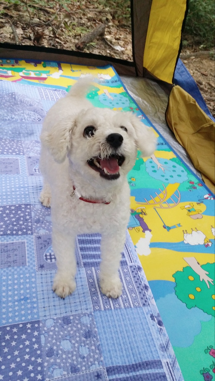 게시글 대표 이미지