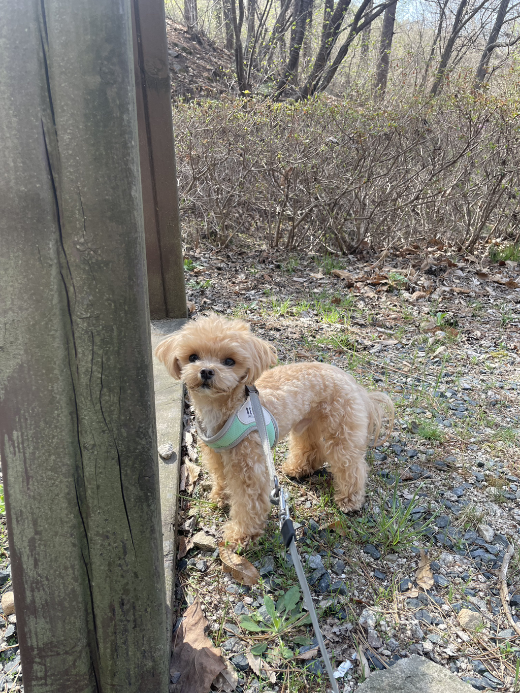 게시글 대표 이미지