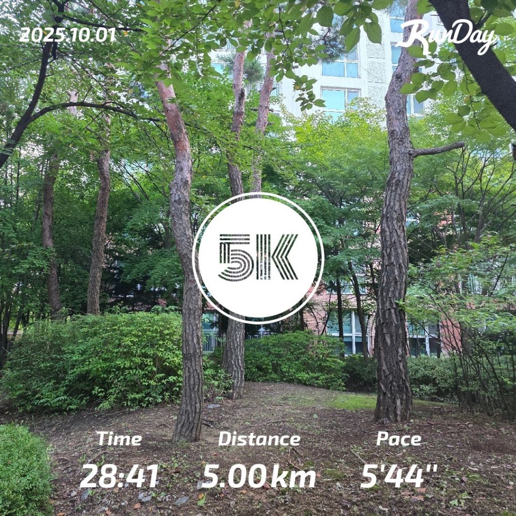 게시글 대표 이미지