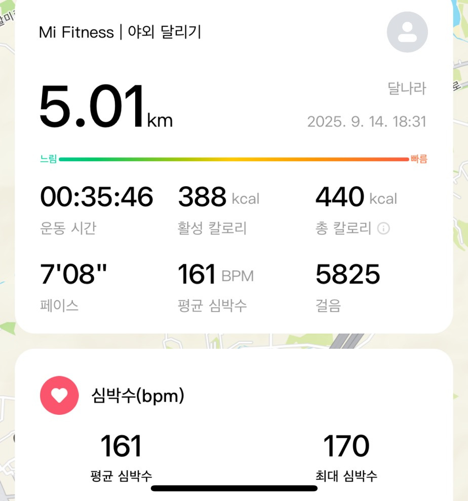 게시글 대표 이미지